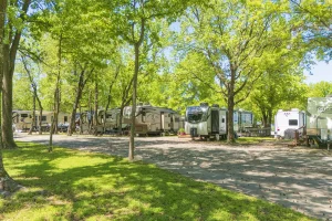 Lake Fork camping, RV parks near Lake Fork, Owens Brothers RV sites, East Texas campgrounds, Fishing at Lake Fork, Full hookup RV parks Lake Fork, Owens Brothers Lake Fork, Lake Fork vacation, Family-friendly campgrounds Texas, Lake Fork boating access, Tent camping Lake Fork, Waterfront campsites Texas, RV camping East Texas, Lake Fork outdoor activities, Lake Fork fishing spots, Affordable campgrounds near Lake Fork, Lake Fork RV reservations, Lake Fork nature trails, Wildlife viewing Lake Fork, Year-round camping Texas.